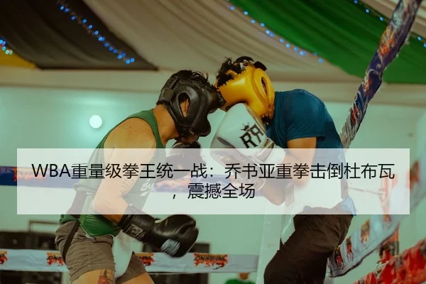 WBA重量级拳王统一战：乔书亚重拳击倒杜布瓦，震撼全场