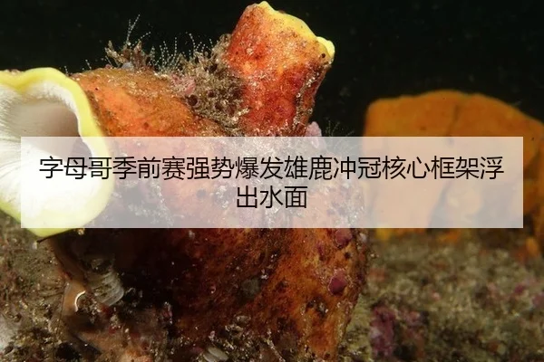zi-mu-ge-ji-qian-sai-qiang-shi-bao-fa-xiong-lu-chong-guan-he-xin-kuang-jia-fu-chu-shui-mian-3-807.jpg